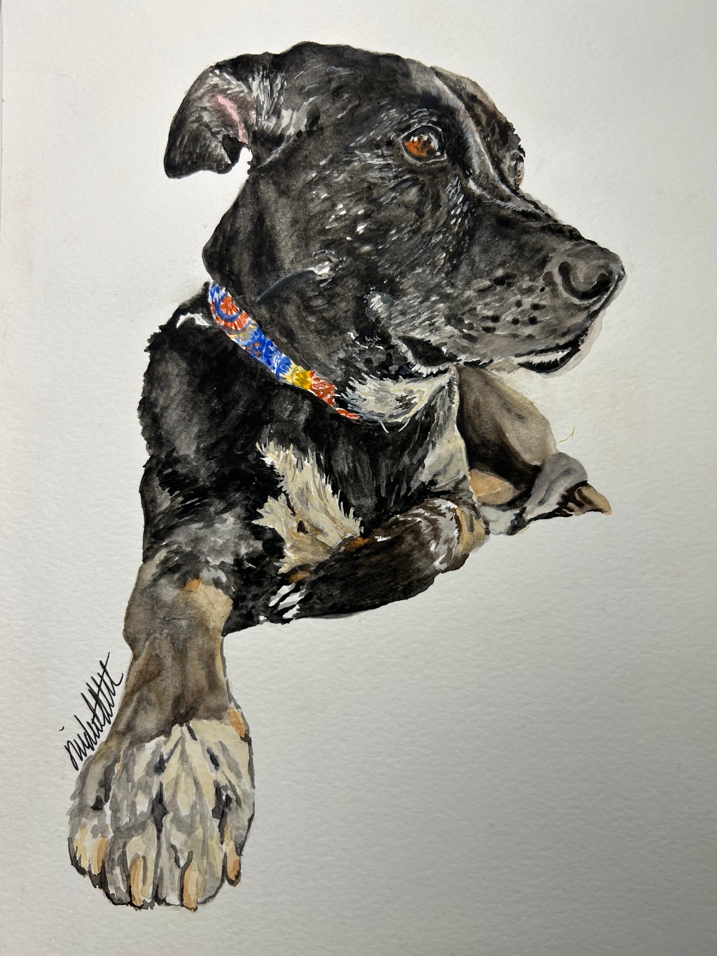 Commission a custom watercolor pet portrait by Linda Griffin — dogs, cats, horses and more