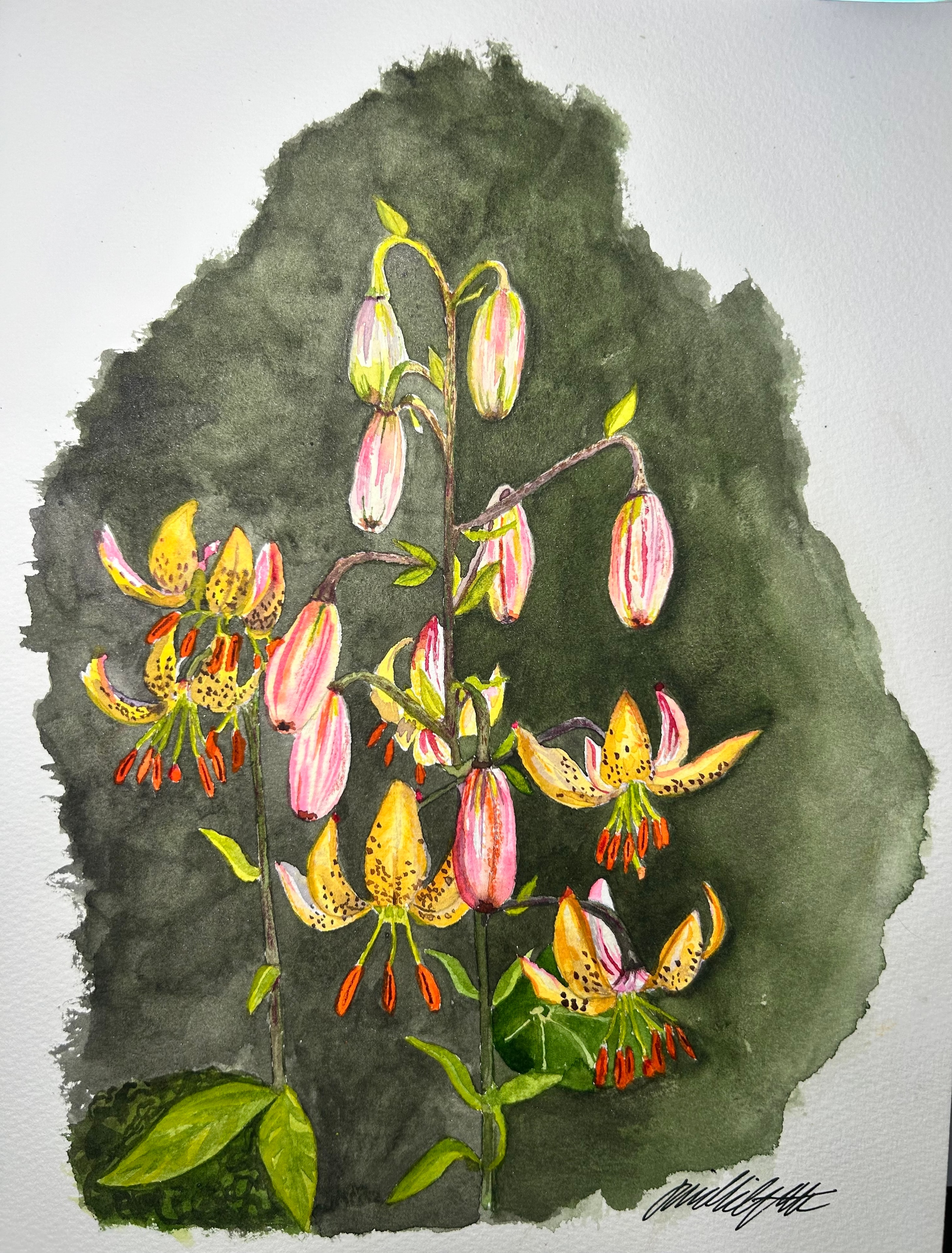 Browse all original paintings and prints by Florida watercolor artist Linda Griffin