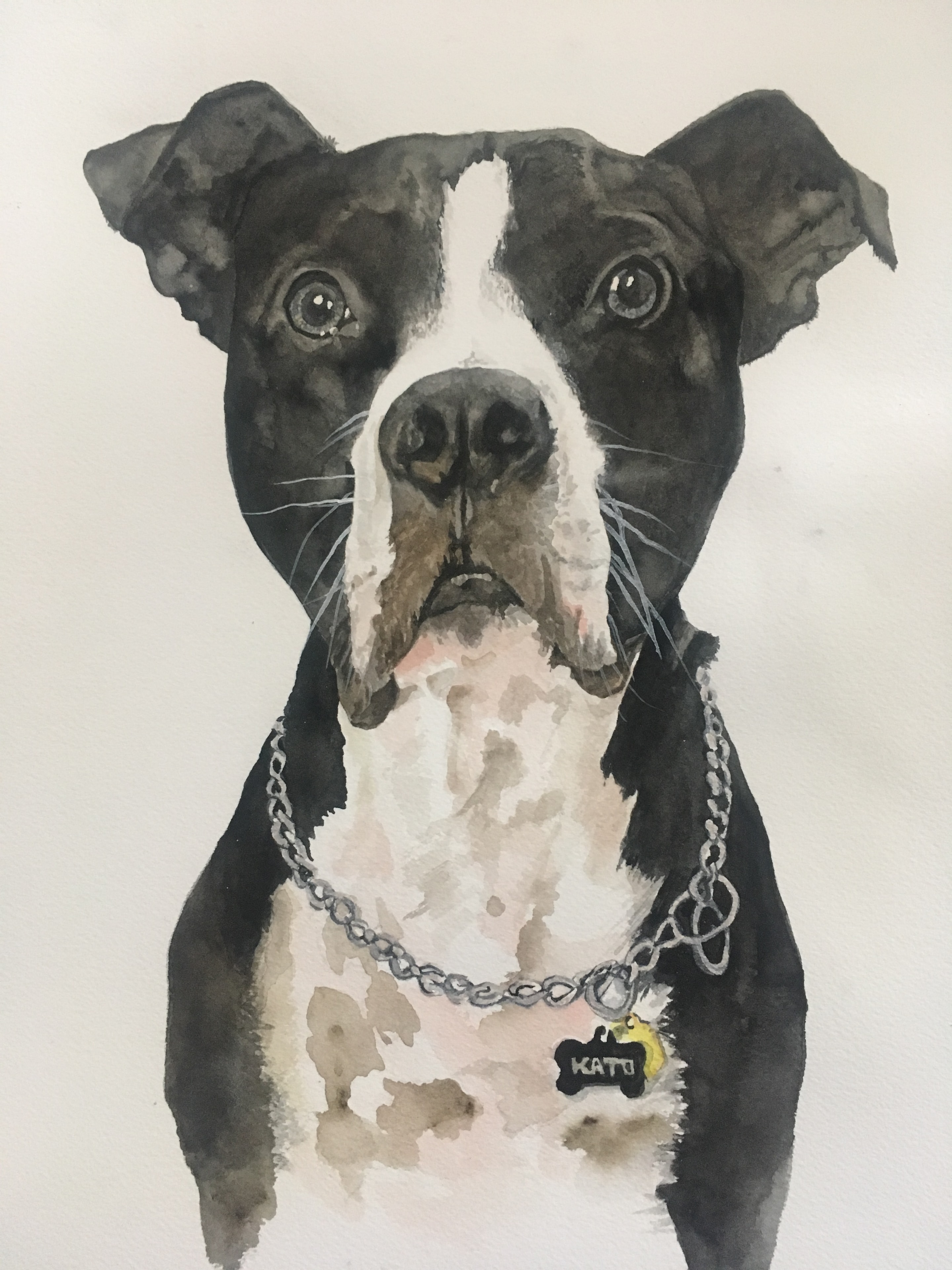 Kato — finished original watercolor pet portrait painting by Linda Griffin
