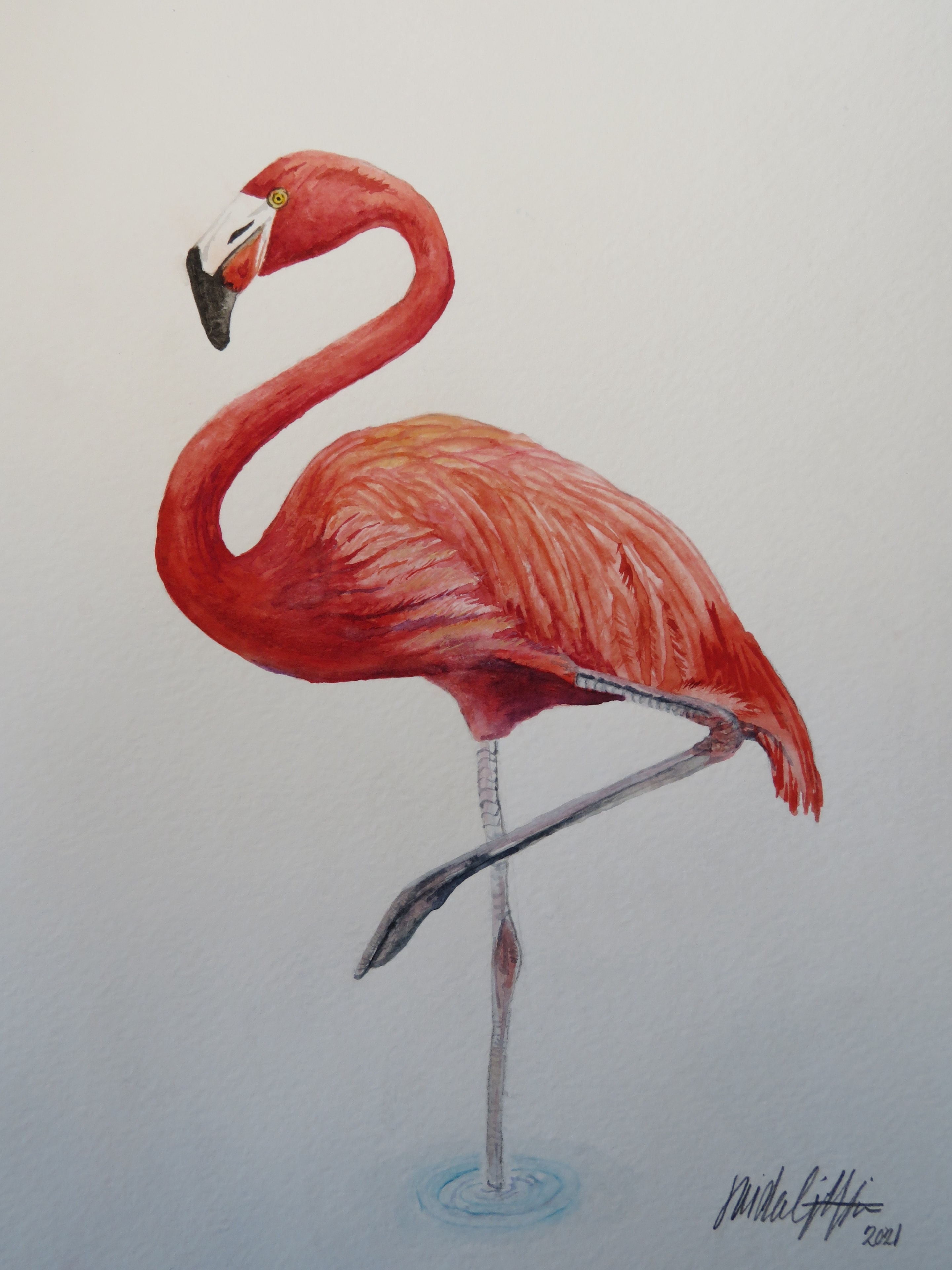 Flamingo — original watercolor wildlife painting by Linda Griffin