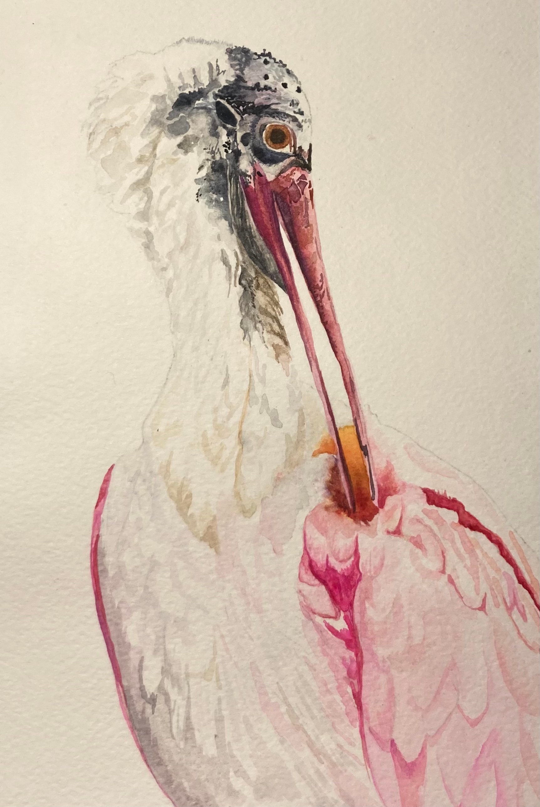 Pretty in Pink — original watercolor bird painting by Linda Griffin